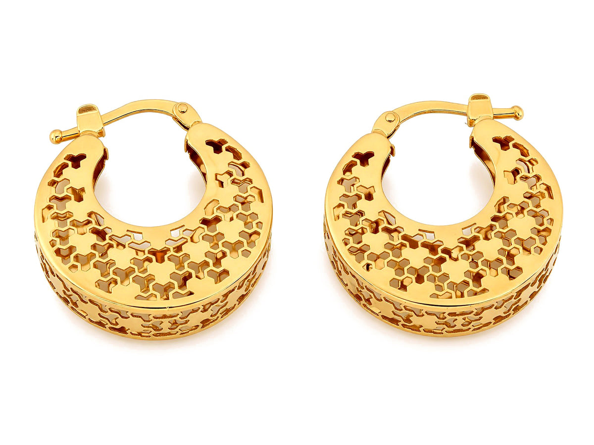 Gold Earrings