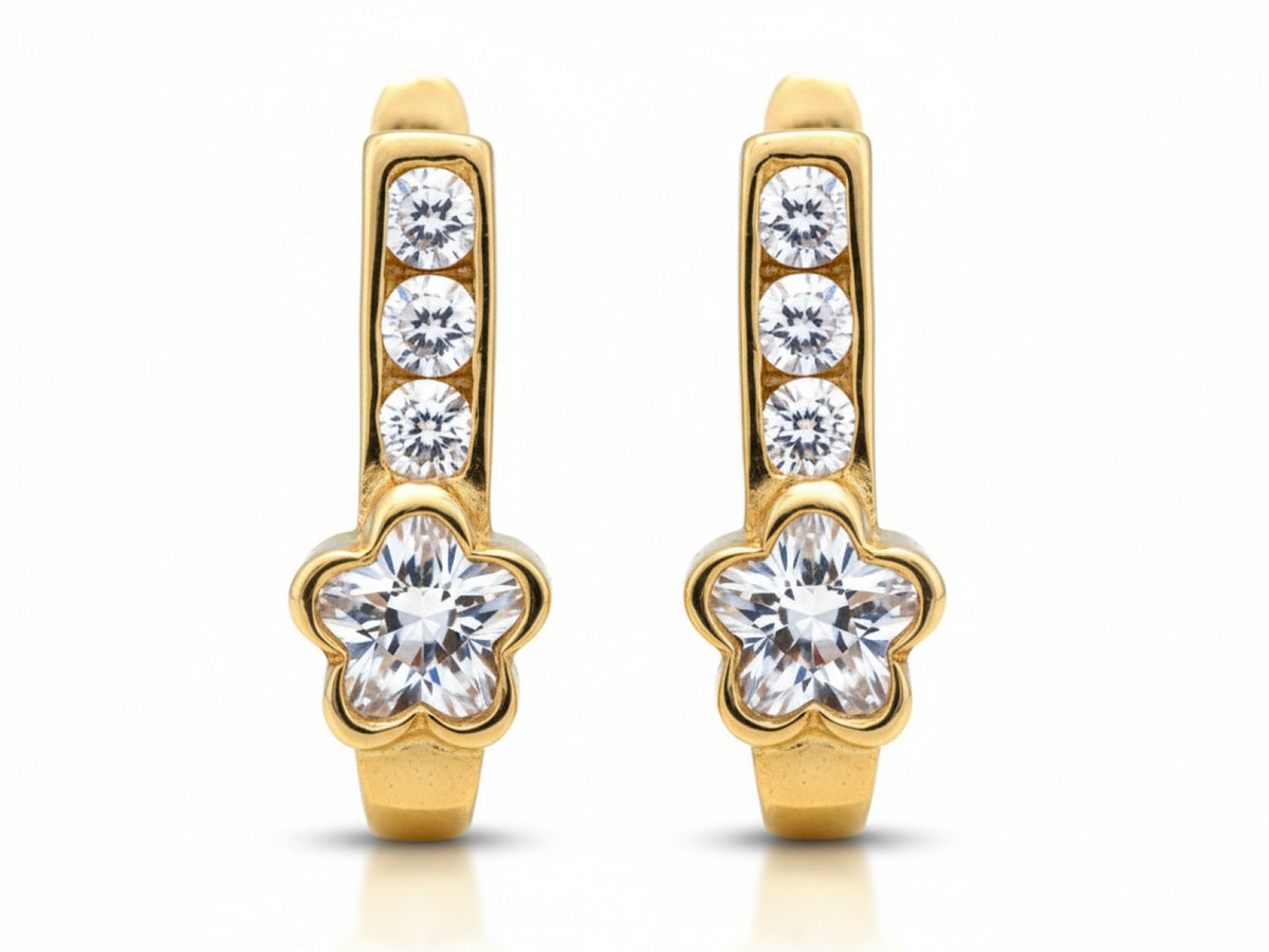 Gold Earrings