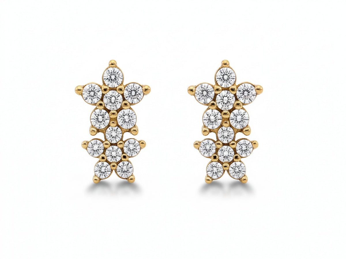 Gold Earrings