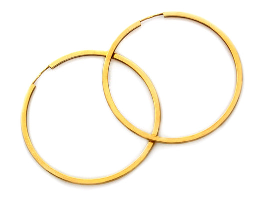 Gold Earrings